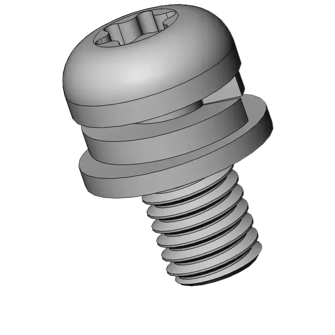 M5 x 10mm Pan Head Torx SEMS Screws with Spring and Flat Washer SUS304 Stainless Steel Inox