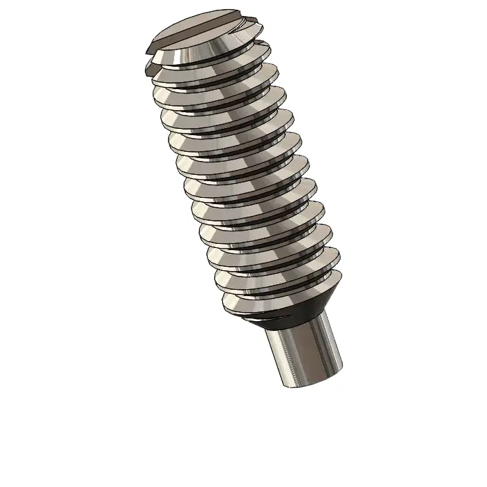 M2 x 6mm Dog Point Set Screws Slotted SUS304 Stainless Steel Inox DIN417