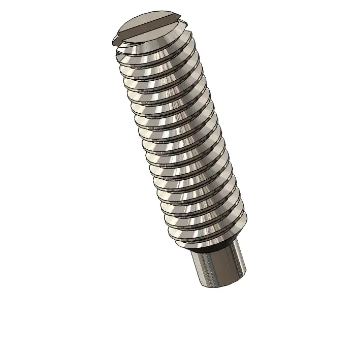 M2.5 x 9mm Dog Point Set Screws Slotted SUS304 Stainless Steel Inox DIN417