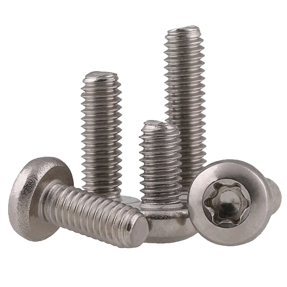 2-56 x 1/8" Pan Head Torx Machine Screw SUS304 Stainless Steel Inox