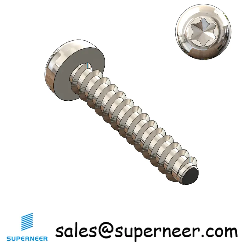 M2.2 × 12mm  Pan Head Torx Thread Foming Screws for Plastic SUS304 Stainless Steel Inox