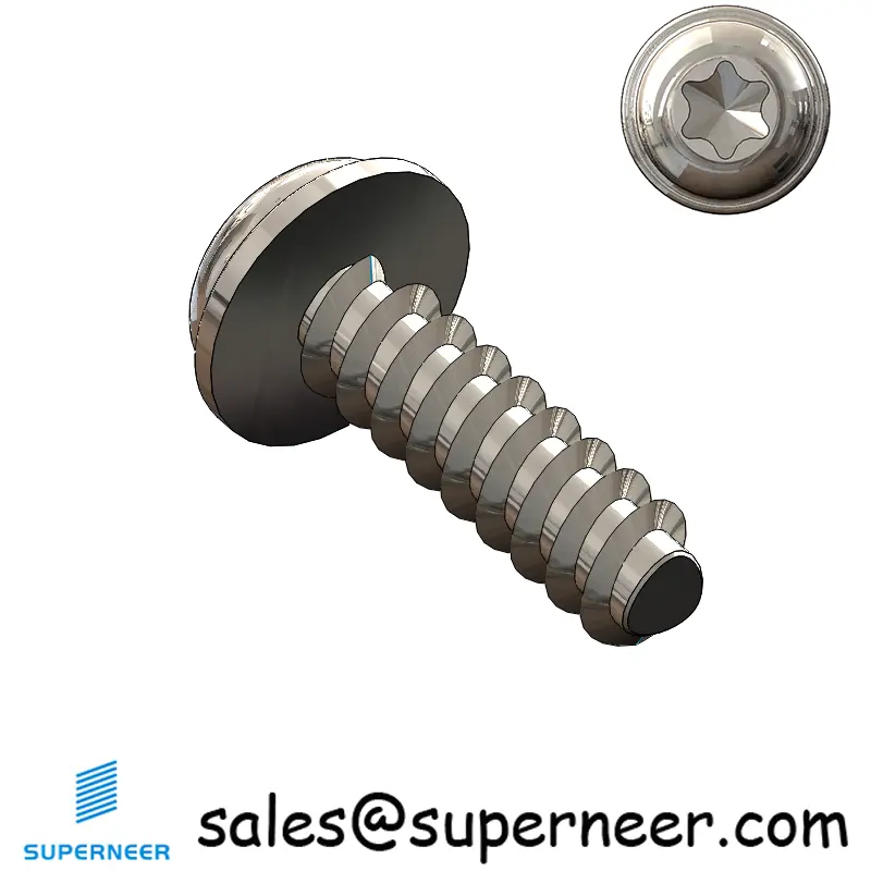 M6 × 20mm  Pan Washer Head Torx Thread Foming Screws for Plastic SUS304 Stainless Steel Inox