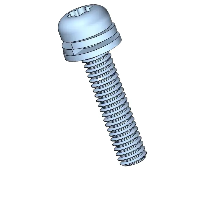 screw pic