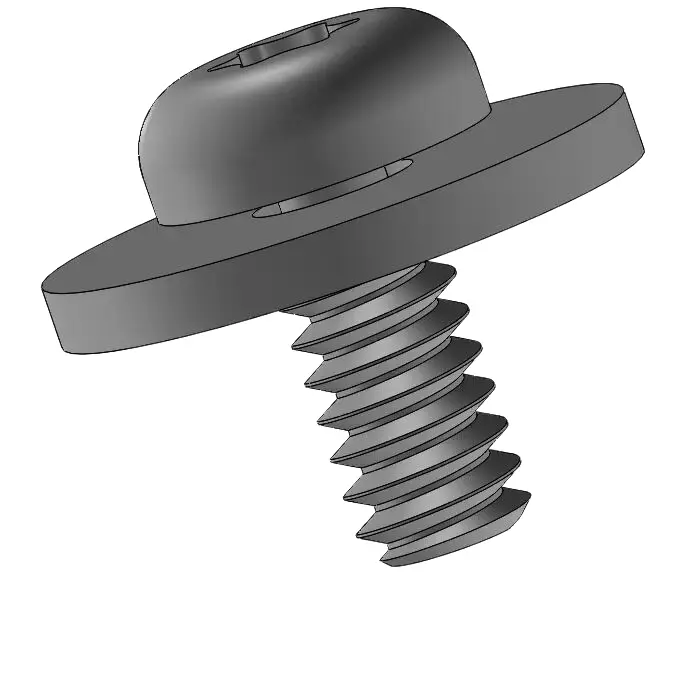 screw pic