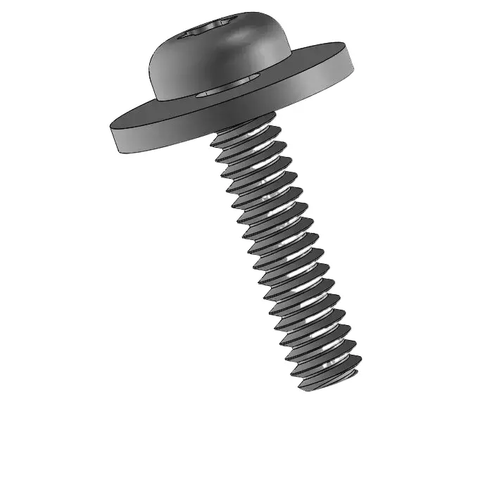 screw pic