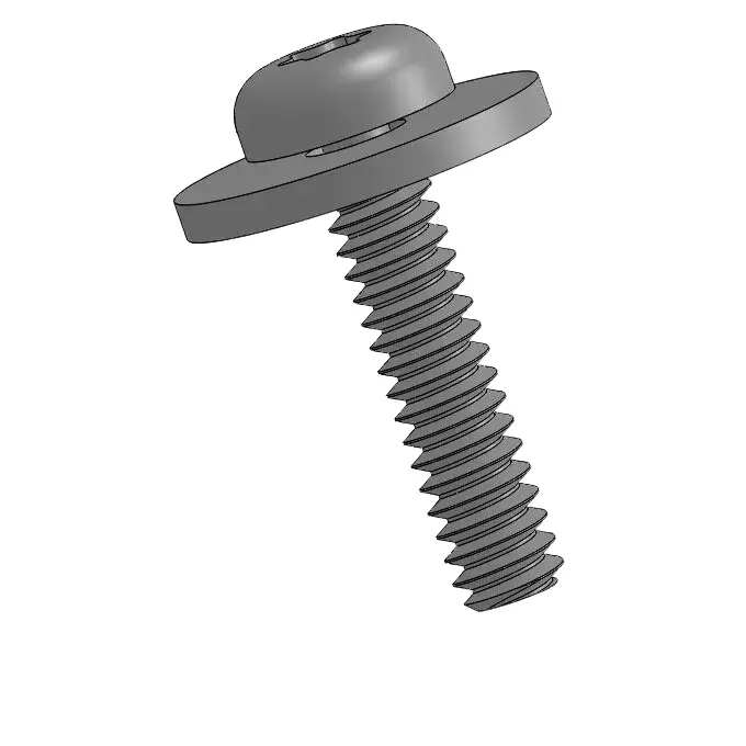 screw pic