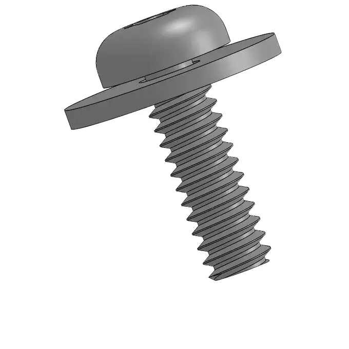 screw pic