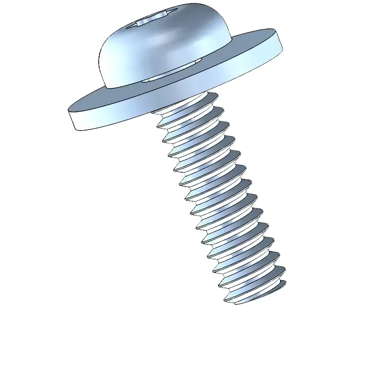screw pic