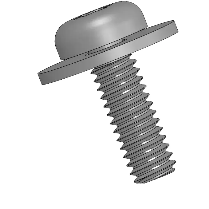 screw pic