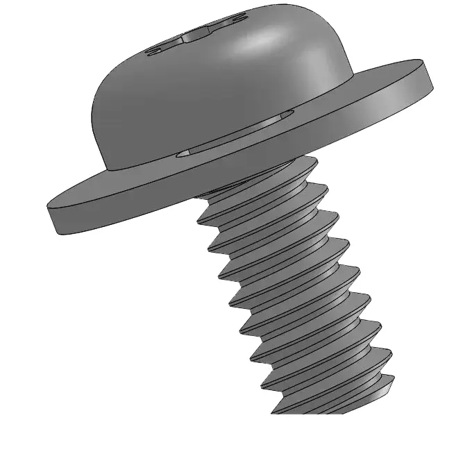 screw pic