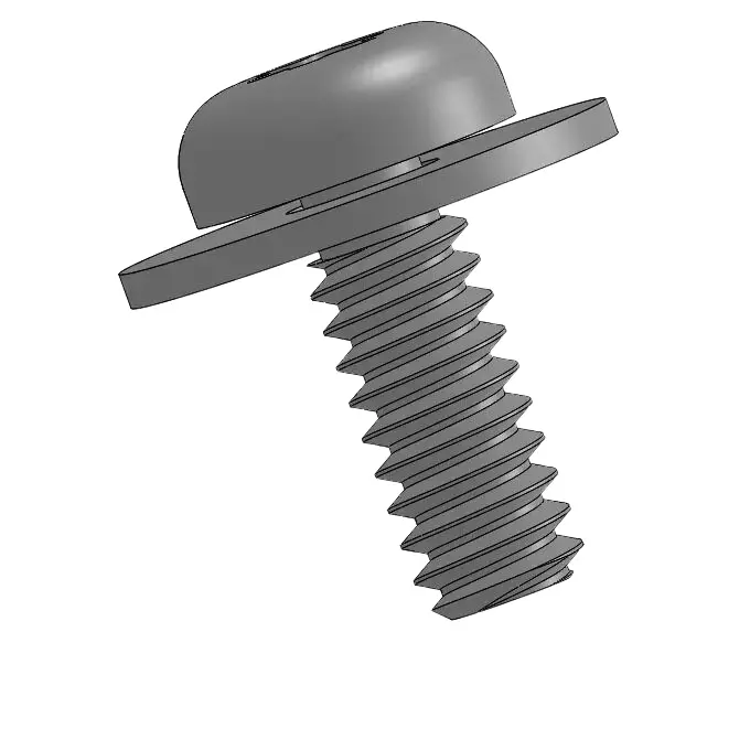 screw pic