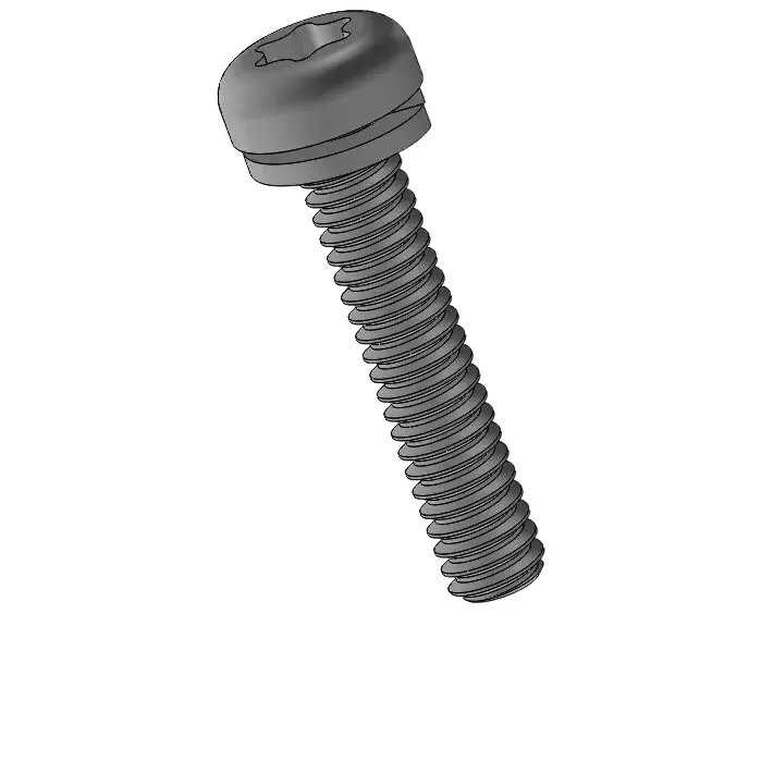 screw pic