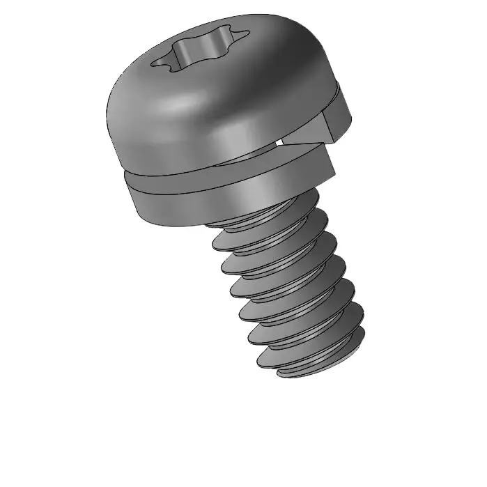 screw pic