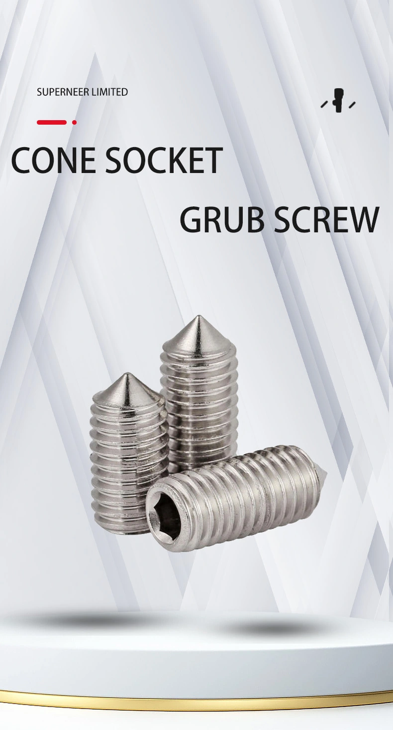 M2 x 4mm Socket Set Screw Cone Point SUS304 Stainless Steel Inox DIN914