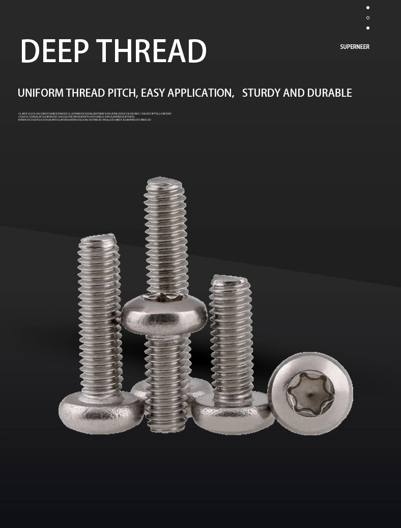 2-56 x 5/16" Pan Head Torx Machine Screw SUS304 Stainless Steel Inox