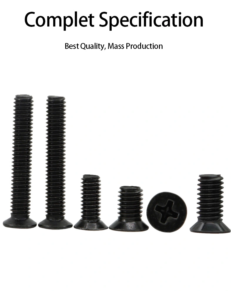 M2 x 6 mm Flat Head 82&deg; Phillips Machine Screw Steel Black