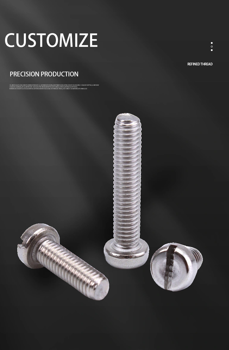 2-56 x 1/8" Pan Head Slotted Machine Screw SUS304 Stainless Steel Inox
