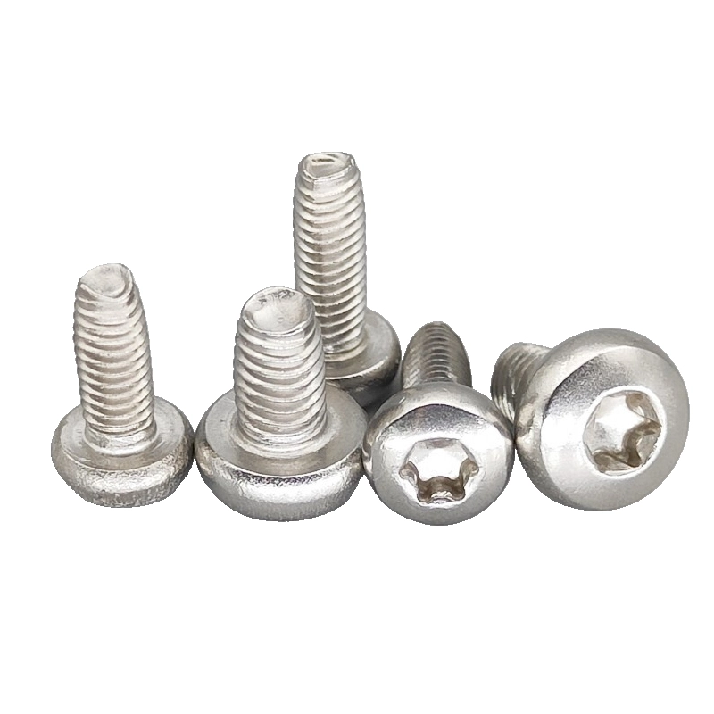 Sus304 Stainless Steel Trilobular Thread Rolling Screws for Sheet Metal - Pan Torx Head